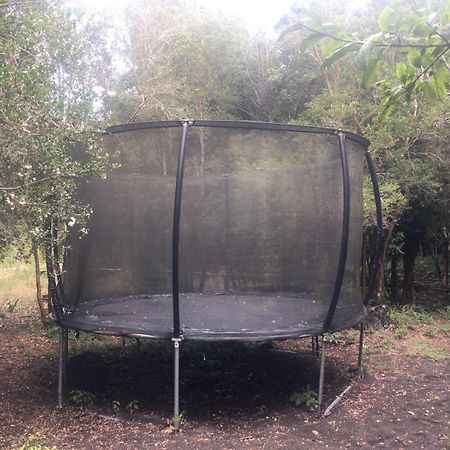 Cabanas Ensenada Bosque Nativo Kültér fotó