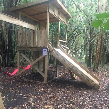 Cabanas Ensenada Bosque Nativo Kültér fotó