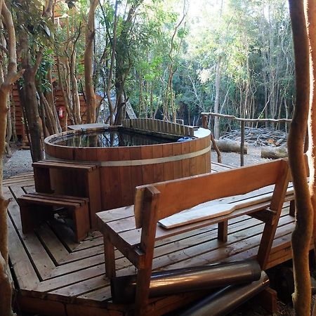 Cabanas Ensenada Bosque Nativo Kültér fotó