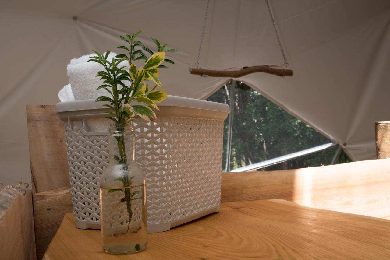 Cabanas Ensenada Bosque Nativo Kültér fotó