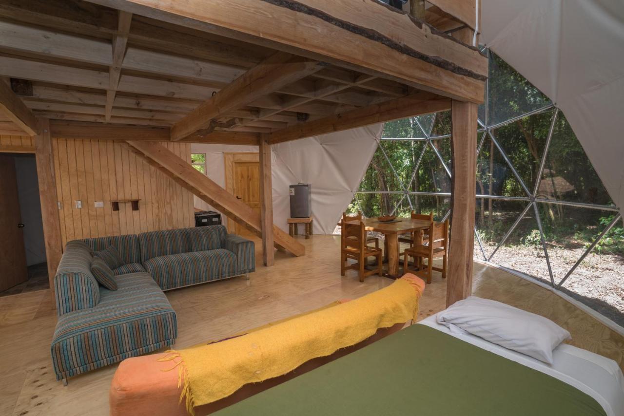 Cabanas Ensenada Bosque Nativo Kültér fotó