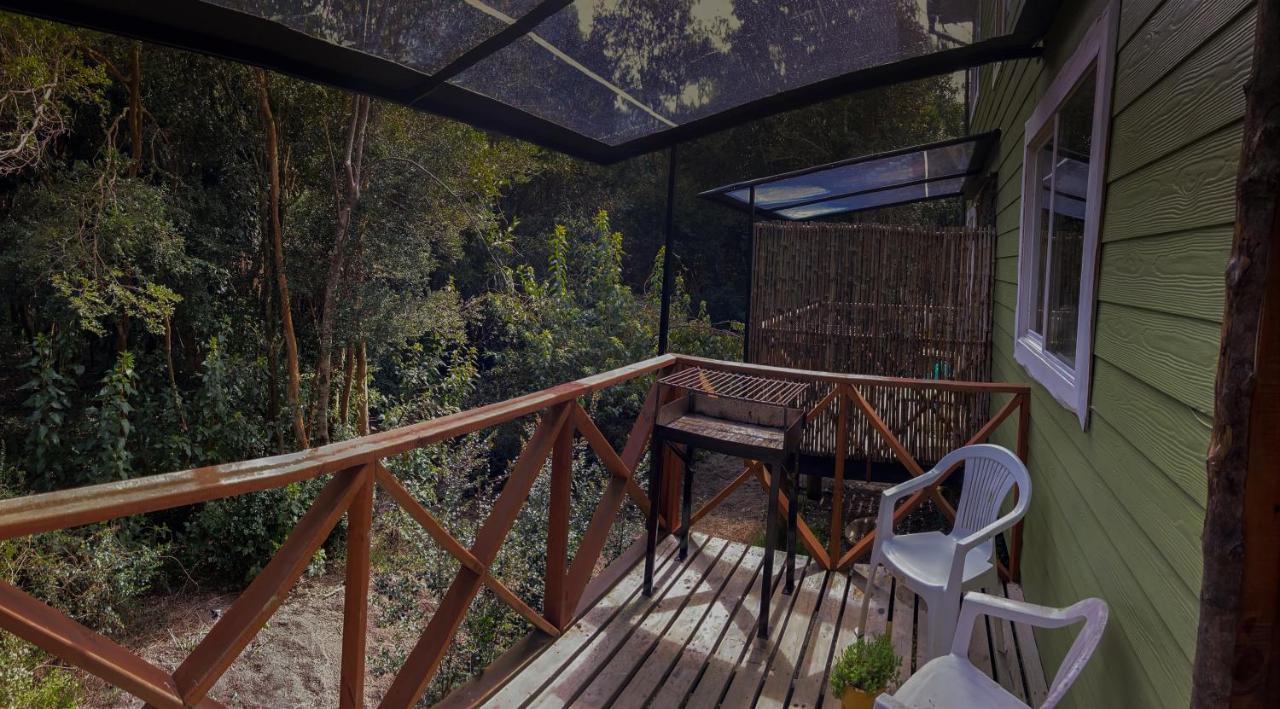 Cabanas Ensenada Bosque Nativo Kültér fotó