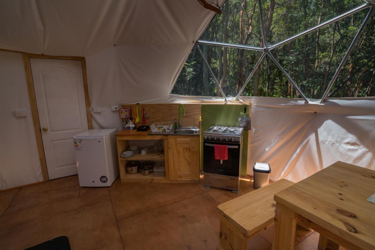 Cabanas Ensenada Bosque Nativo Kültér fotó
