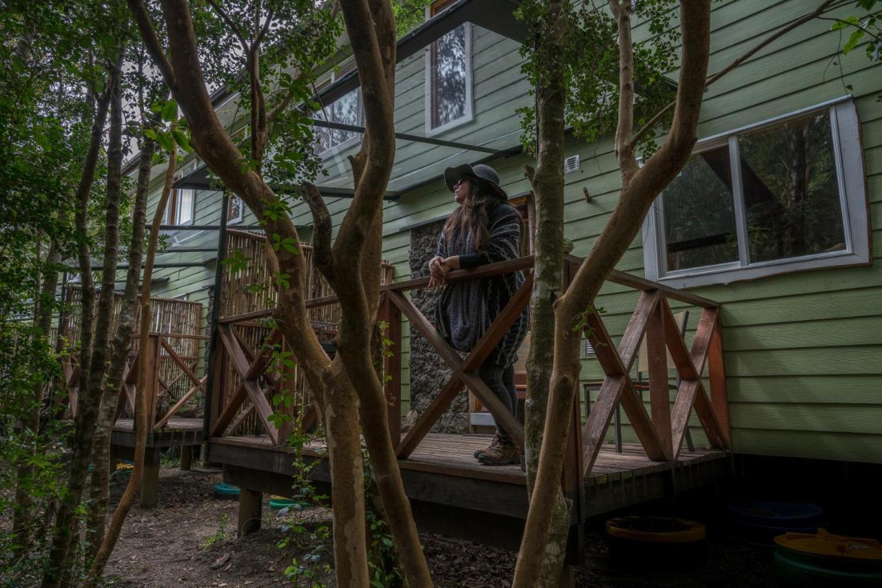 Cabanas Ensenada Bosque Nativo Kültér fotó