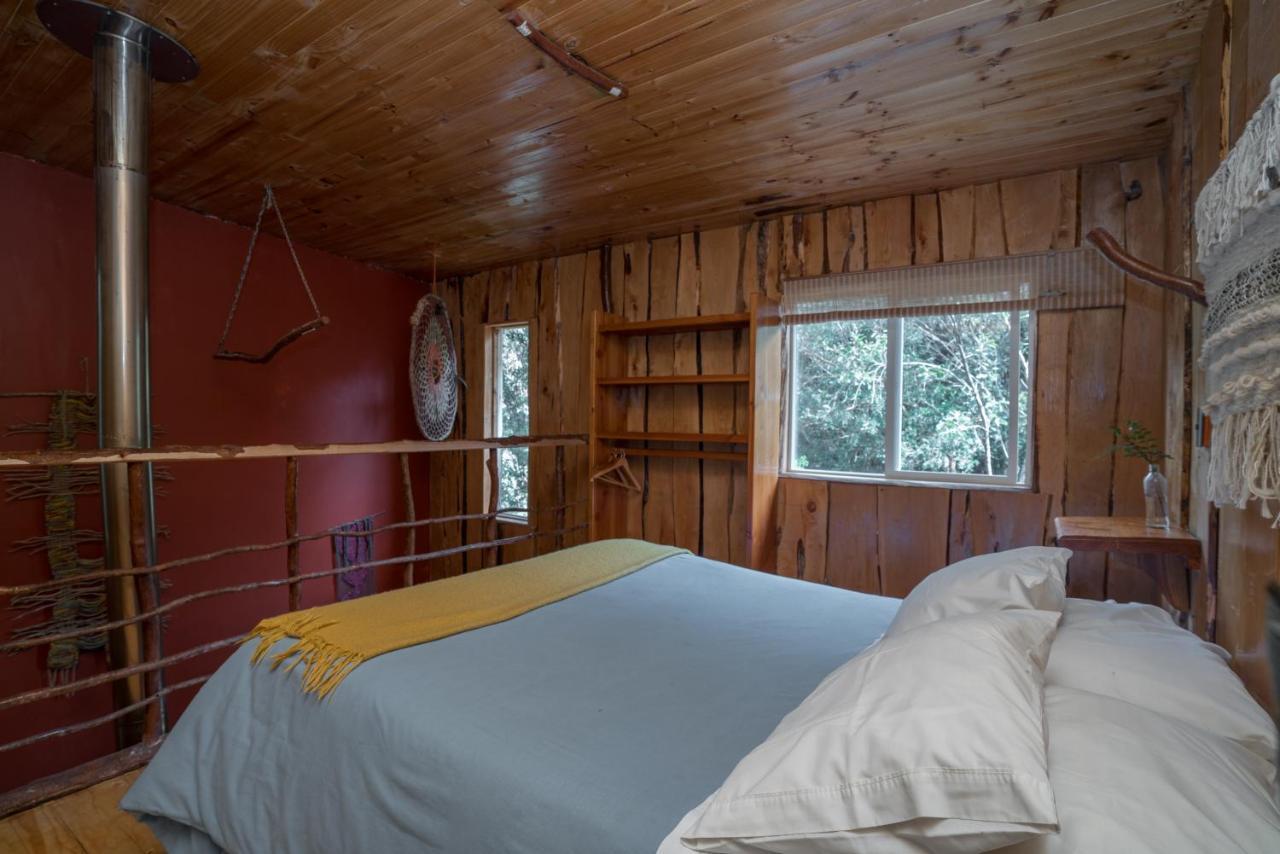 Cabanas Ensenada Bosque Nativo Kültér fotó