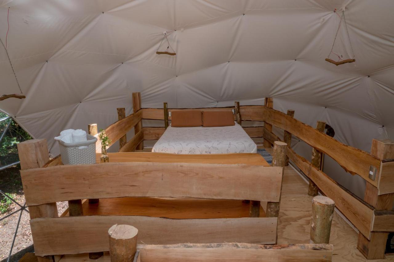 Cabanas Ensenada Bosque Nativo Kültér fotó