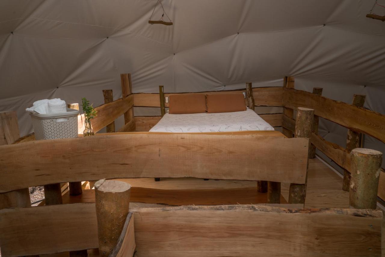 Cabanas Ensenada Bosque Nativo Kültér fotó