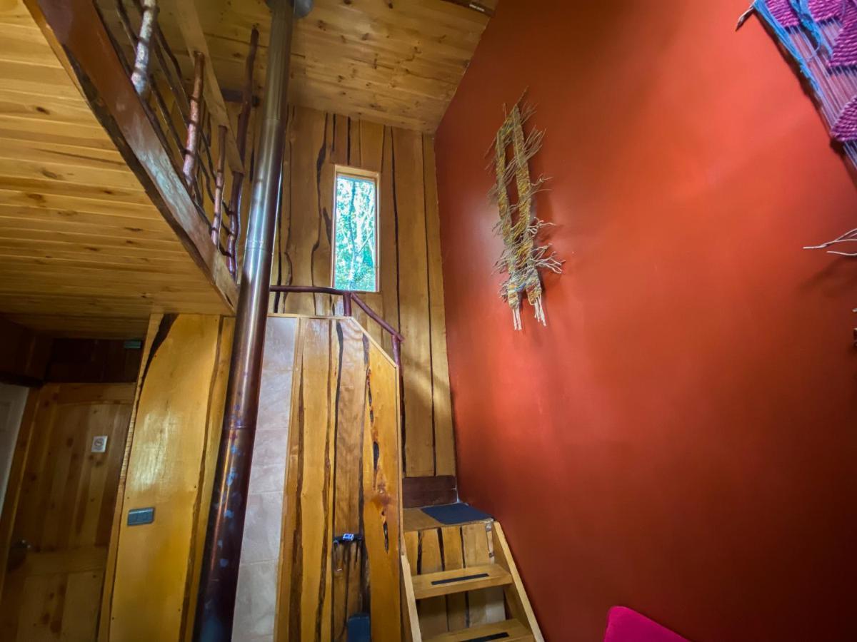 Cabanas Ensenada Bosque Nativo Kültér fotó