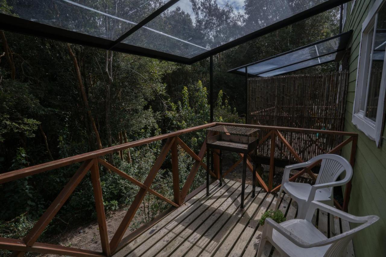 Cabanas Ensenada Bosque Nativo Kültér fotó