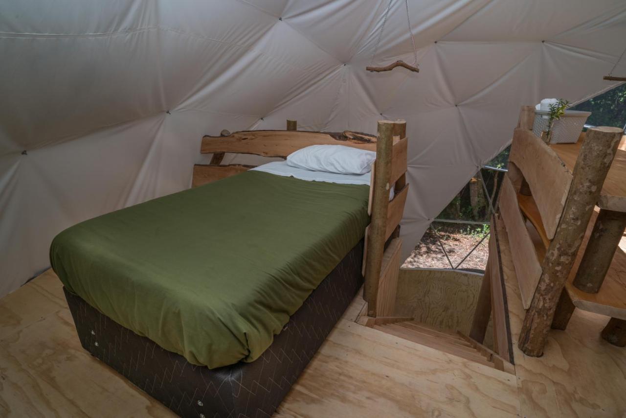 Cabanas Ensenada Bosque Nativo Kültér fotó