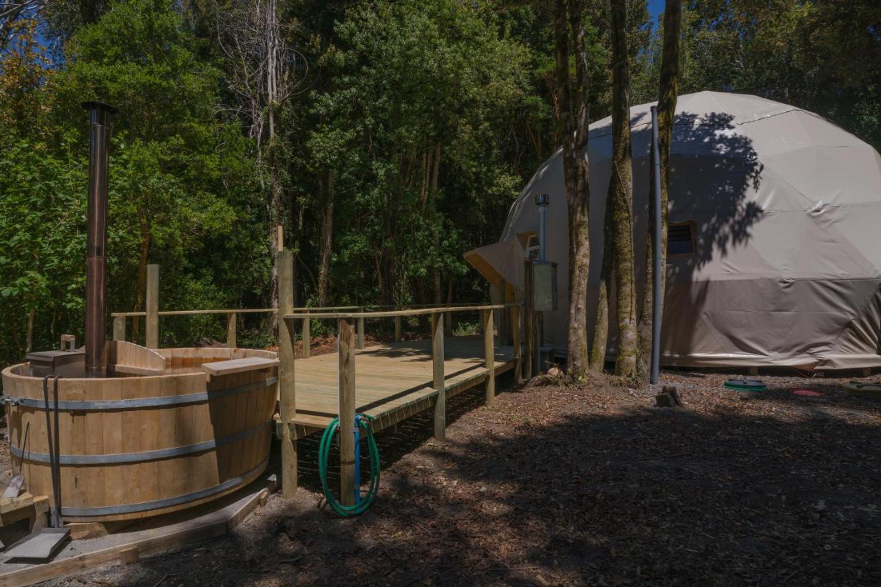 Cabanas Ensenada Bosque Nativo Kültér fotó
