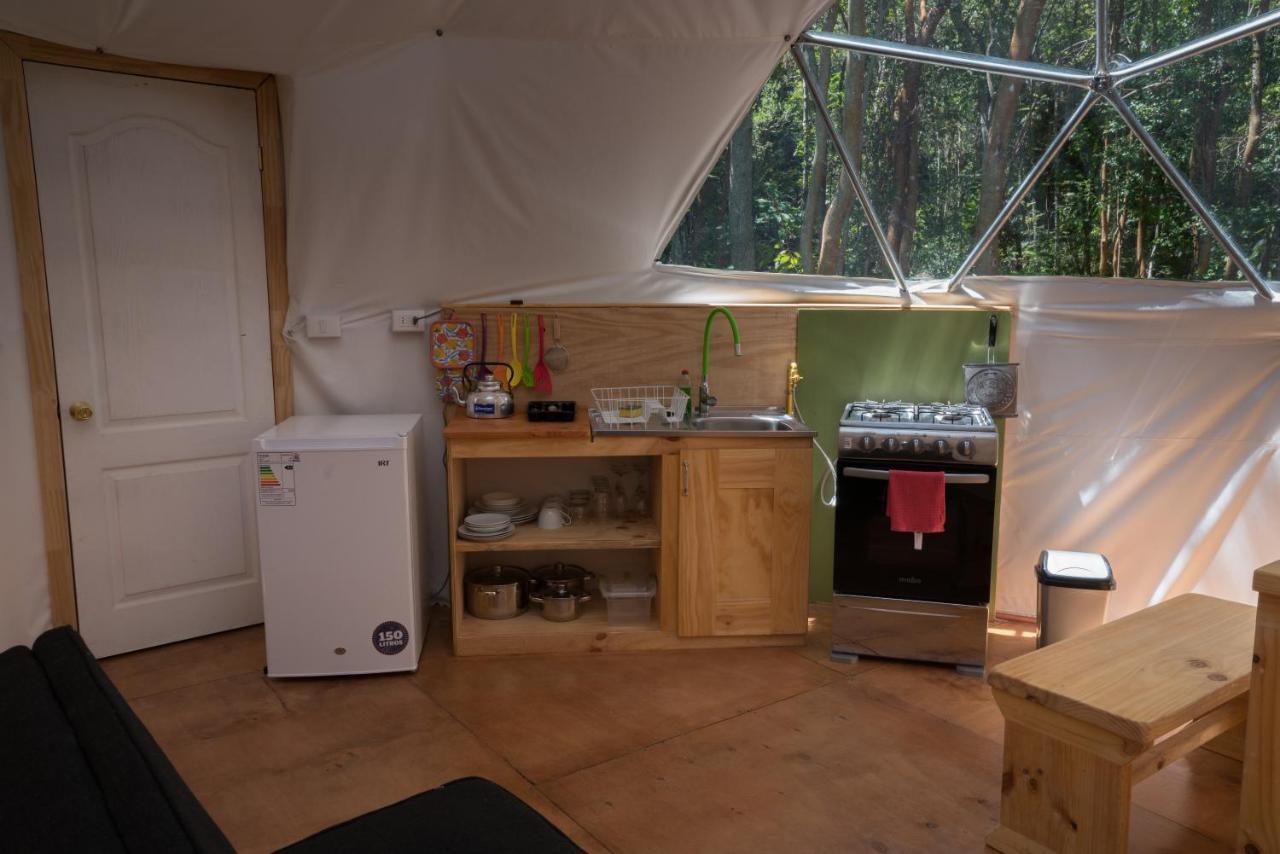 Cabanas Ensenada Bosque Nativo Kültér fotó