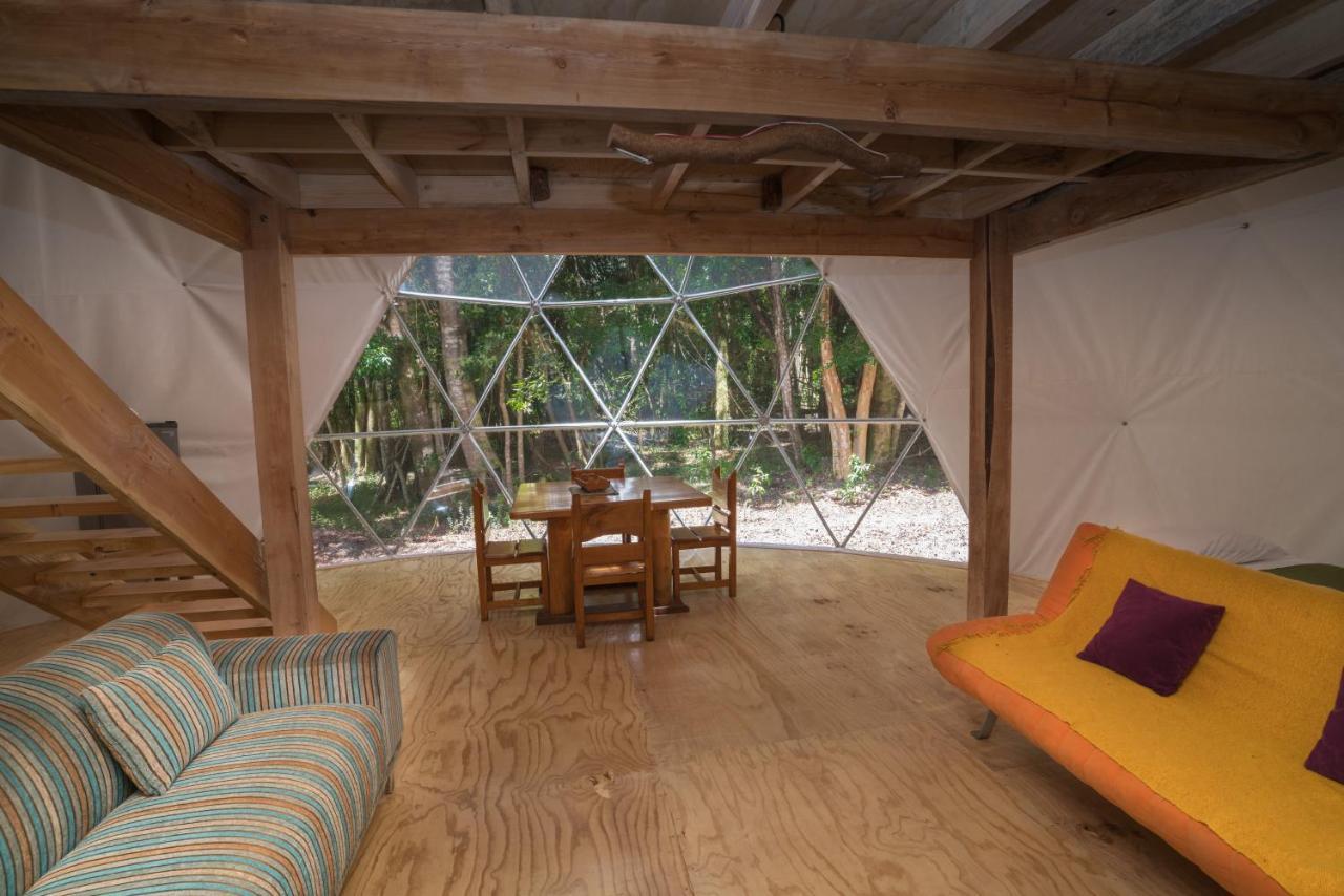 Cabanas Ensenada Bosque Nativo Kültér fotó