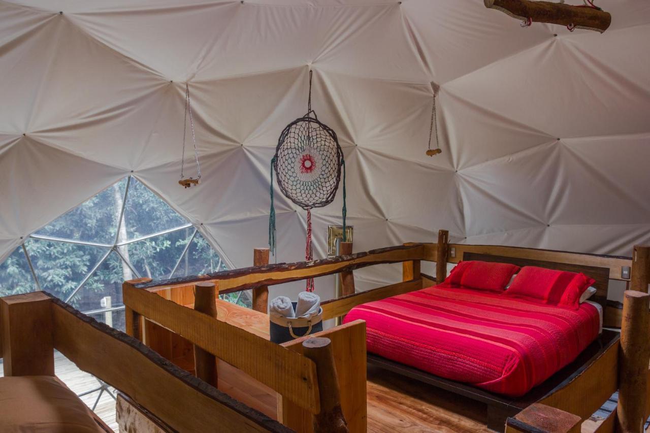 Cabanas Ensenada Bosque Nativo Kültér fotó