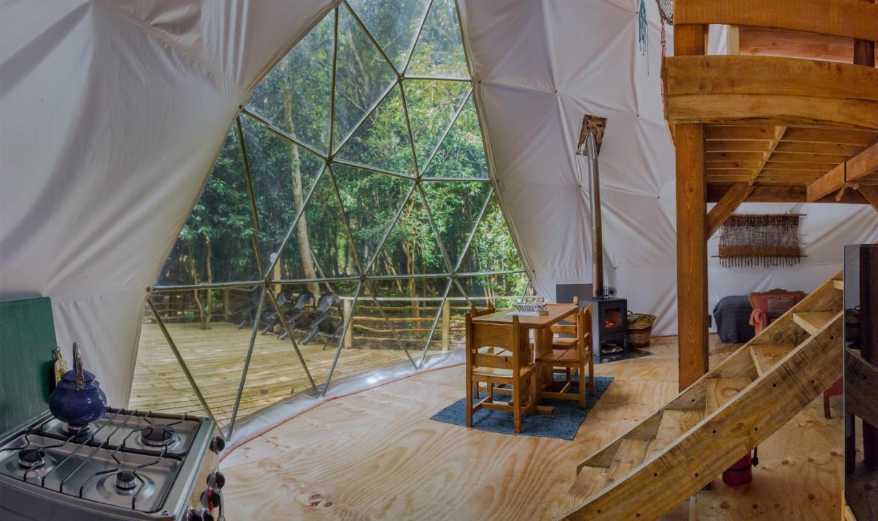 Cabanas Ensenada Bosque Nativo Kültér fotó