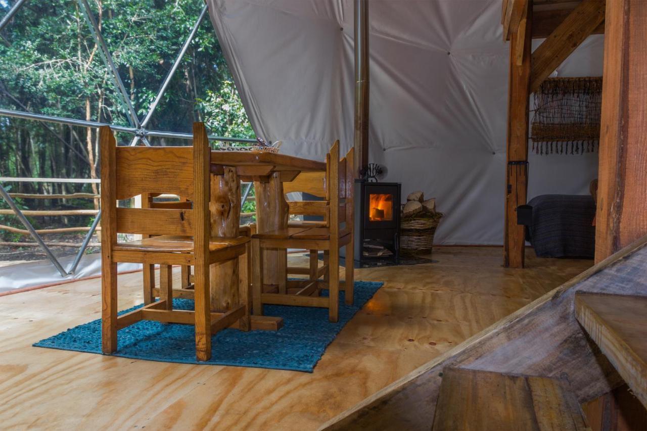 Cabanas Ensenada Bosque Nativo Kültér fotó