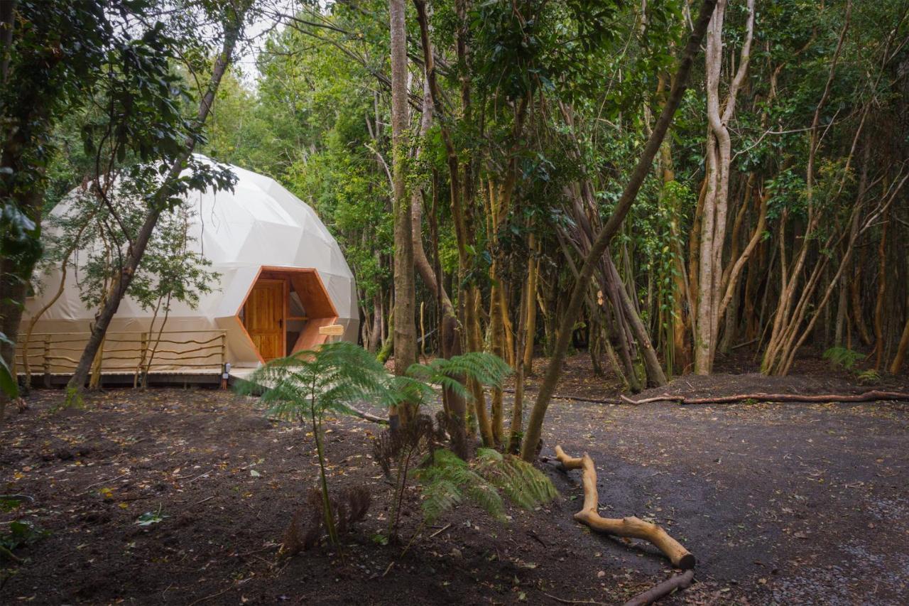 Cabanas Ensenada Bosque Nativo Kültér fotó