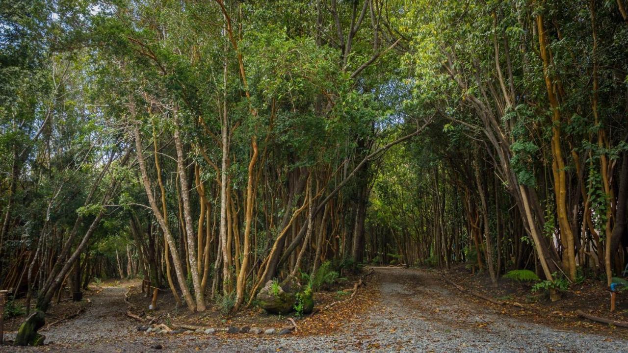 Cabanas Ensenada Bosque Nativo Kültér fotó