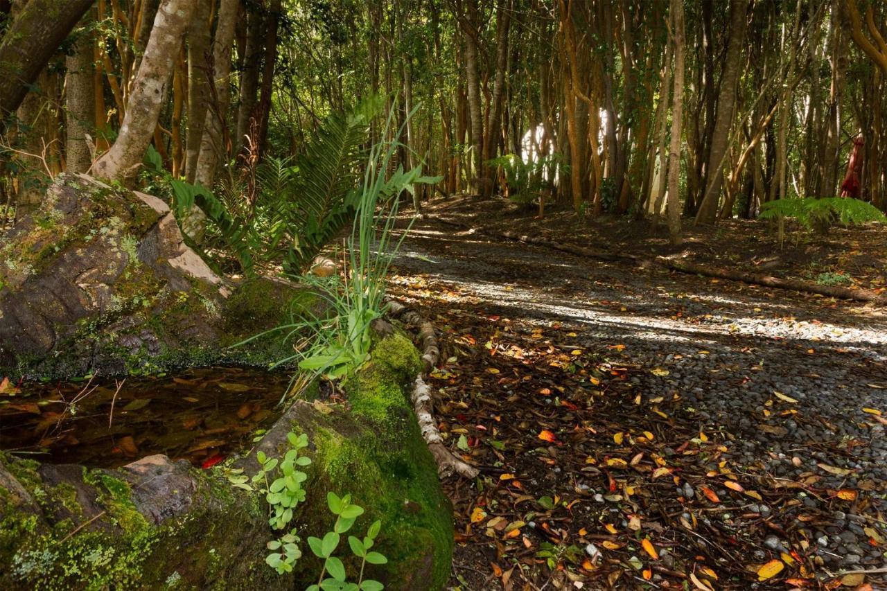 Cabanas Ensenada Bosque Nativo Kültér fotó
